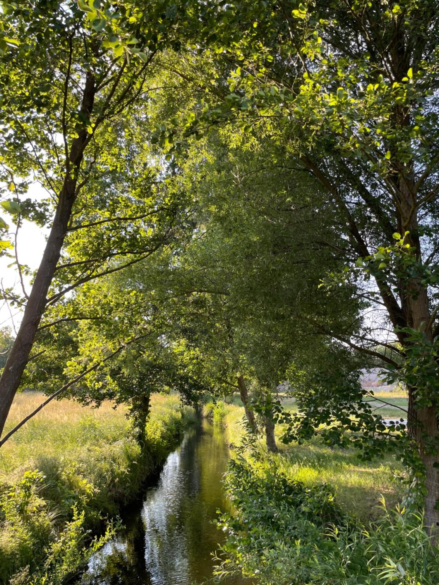 Guesthouse With 3 Apartments, Just Outside Berlin, Near To Tesla Burig エクステリア 写真