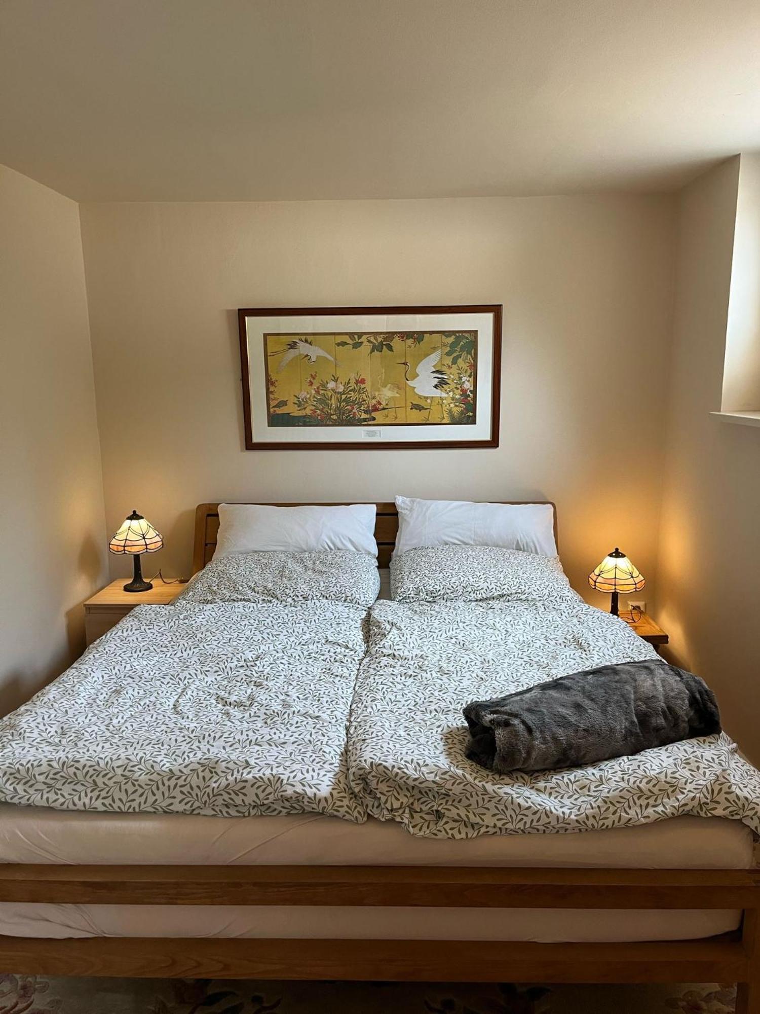 Guesthouse With 3 Apartments, Just Outside Berlin, Near To Tesla Burig エクステリア 写真