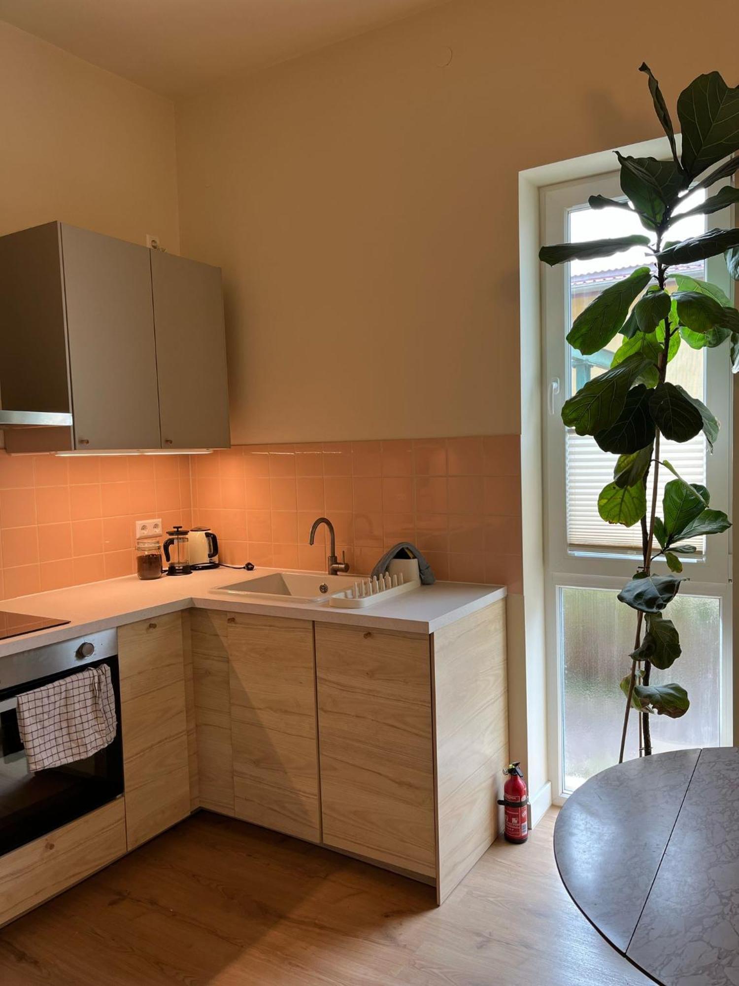 Guesthouse With 3 Apartments, Just Outside Berlin, Near To Tesla Burig エクステリア 写真
